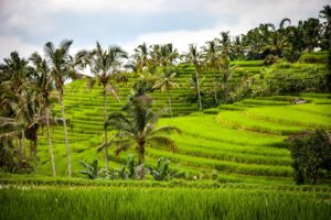 Indonesia